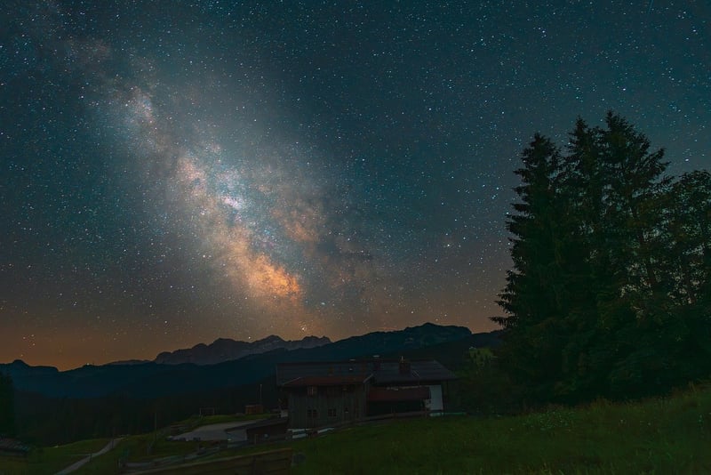 Starlit Meadow